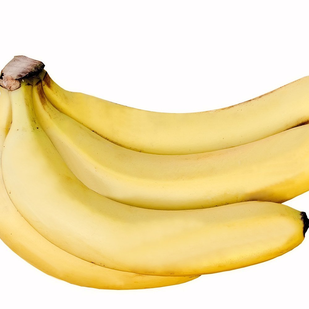 Cavendish banana plant