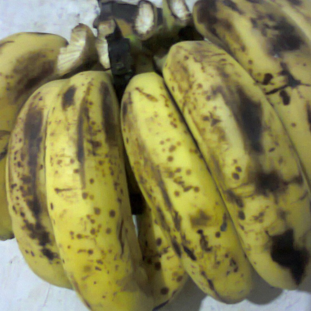 Kolikuttu banana plant